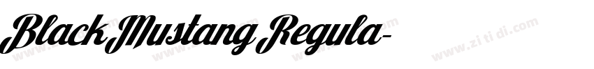 Black Mustang Regula字体转换